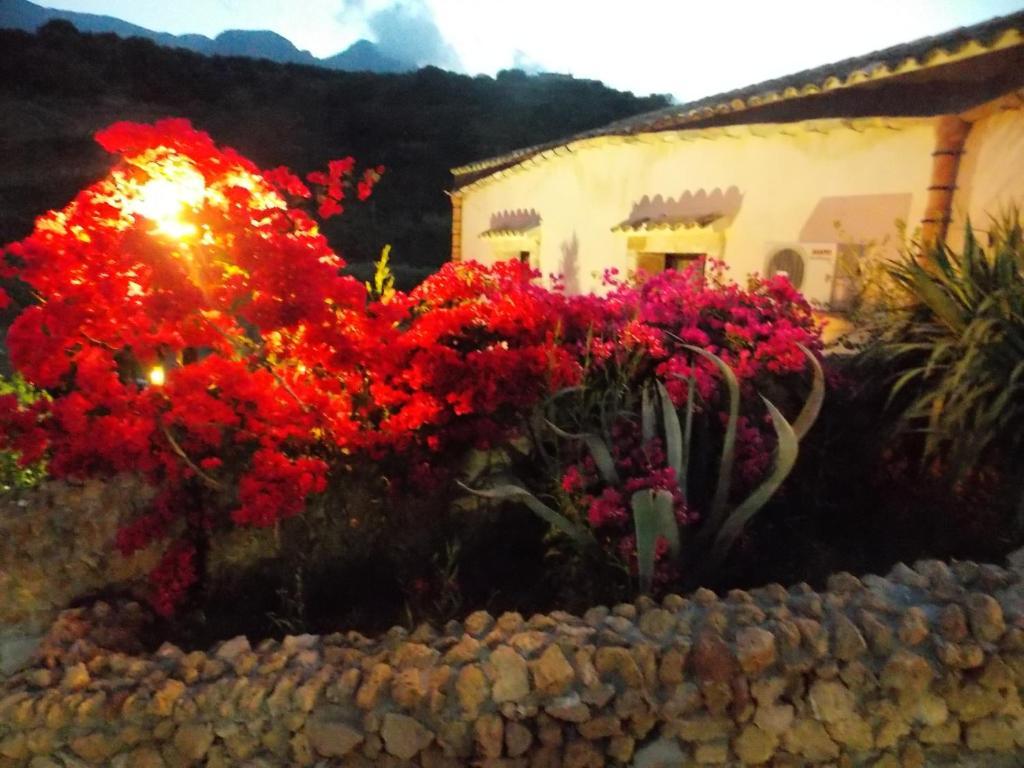 Гостевой дом Casale Del Golfo Кастелламмаре-дель-Голфо Экстерьер фото